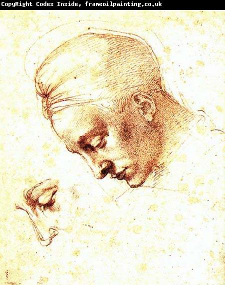 Michelangelo Buonarroti Study of a Head